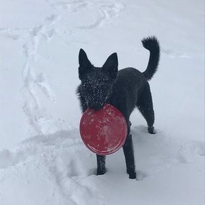 Meet your Posher, Mike